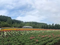 -富田农场
