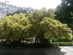 -兆祥公园