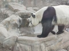 -青藏高原野生动物园