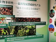 -花之城