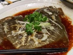 -樽宴酒楼·地道川菜·品质宴请