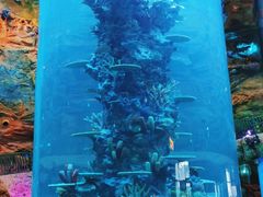 -青岛嘉年华主题乐园