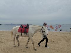 -烟台海昌鲸鲨海洋公园