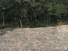 -浮山香苑