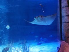 -沈阳海洋探索中心