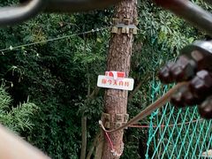 -芦仙山景区-飞越丛林探险乐园