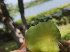 -西安浐灞国家湿地公园