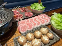 -火烈鸟