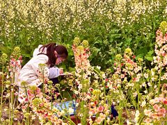 -白鹭湾湿地公园