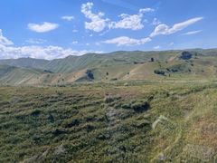 -新疆那拉提国家旅游度假区