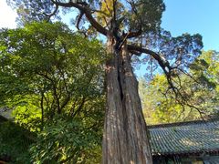 -青岛崂山太清宫