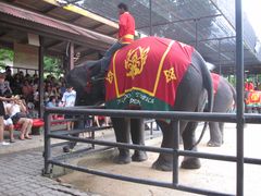 -东芭乐园