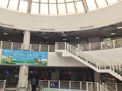 -澳门外港客运码头(轮渡站)