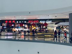 -TheRink大零溜冰场(IFS国金中心店)