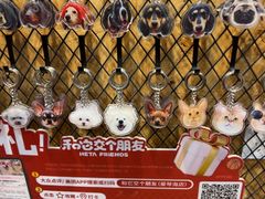 -和它·交个朋友·狗咖猫咖(爱琴海店)