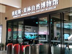 -陕西自然博物馆