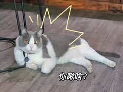 -后院儿·精酿·塔罗Happy Bar