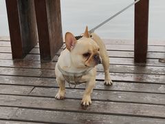 -天鹅湖体育公园