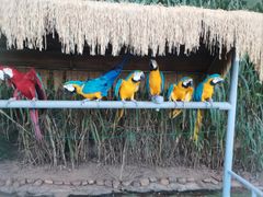 -西霞口神雕山野生动物世界