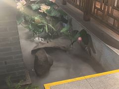 -紫腾大院·南京菜(江宁店)