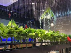 -杨记齐齐哈尔烤肉(五莲路店)