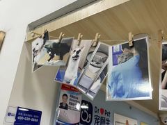 -宠颐生宠物医院外科·内科·皮肤科·影像科(石龙店)