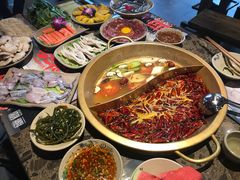 红白鸳鸯锅-小龙坎火锅(东汇城店)