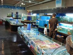 水产区-海棠湾聚鼎香海鲜坊(海昌梦幻不夜城店)