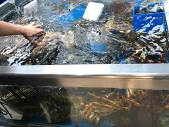 -盒马鲜生(大成店)