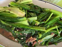 罐头鱼炒油麦菜-高坡头烧鸡