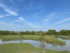 -溱湖国家湿地公园