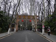 -灵谷景区