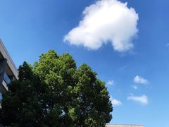 -上海佘山世茂艾美酒店