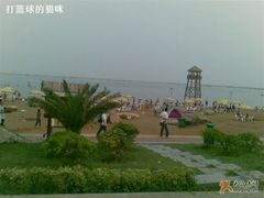 -碧海金沙
