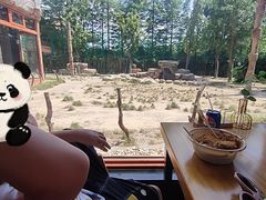 -上海野生动物园老虎餐厅