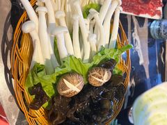 -古乐牛香·鲜牛肉牛杂火锅(五一中路店)