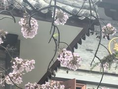 -西安市广仁寺