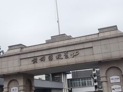 -长洲岛