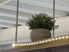 -兰拓相机租赁·维修·二手(上海店)