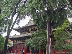 -报恩寺(平武县)