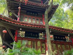 -南山植物园