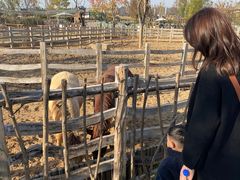 -祥源·阜阳生态乐园