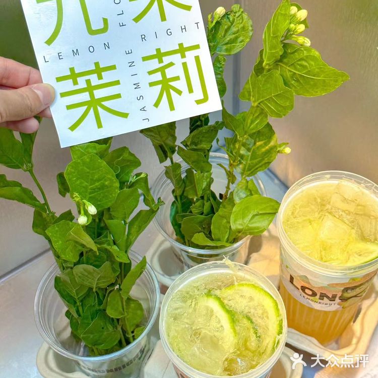 简直就是春天里必喝的奶茶好吗️ 茉莉柠檬茶