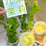 简直就是春天里必喝的奶茶好吗️ 茉莉柠檬茶