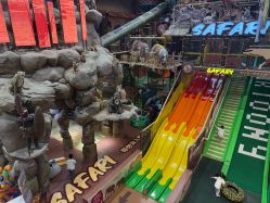 -卡通尼·Safari非洲探索乐园·生日会(金桥国际商业广场店)