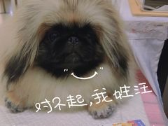 -仲盛世界商城