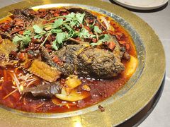 -吃城都·鱼蛙火锅(西玉龙街店)