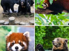 -常州淹城野生动物世界