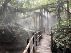 -青青世界