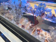 -新海渔港·胶东海鲜家常菜·家宴(奥体中心店)